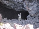 photo thumbnail #7