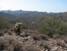 photo thumbnail #4