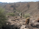 photo thumbnail #6