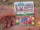 photo thumbnail #2
