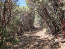 photo thumbnail #5
