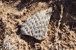 photo thumbnail #8