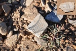 photo thumbnail #10