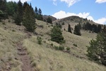 photo thumbnail #7
