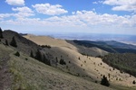 photo thumbnail #10