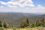 photo thumbnail #12