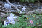 photo thumbnail #2