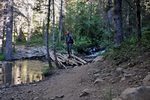 photo thumbnail #5
