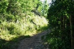 photo thumbnail #6