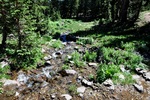 photo thumbnail #14