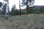 photo thumbnail #1