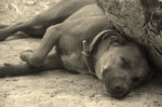 photo thumbnail #10