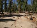 photo thumbnail #10