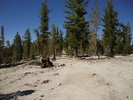 photo thumbnail #12