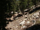 photo thumbnail #2