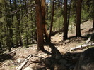 photo thumbnail #11