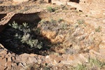 photo thumbnail #15