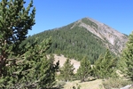 photo thumbnail #4