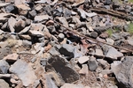 photo thumbnail #6