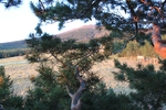 photo thumbnail #12