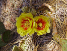 photo thumbnail #14