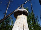 photo thumbnail #7