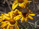 photo thumbnail #8