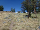 photo thumbnail #15