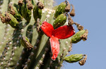 photo thumbnail #4