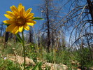 photo thumbnail #6