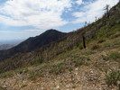 photo thumbnail #10