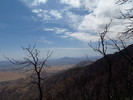 photo thumbnail #11