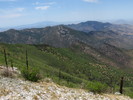 photo thumbnail #12