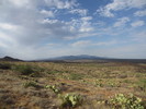 photo thumbnail #8