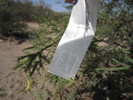 photo thumbnail #15
