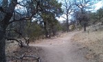 photo thumbnail #6