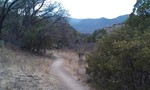 photo thumbnail #7