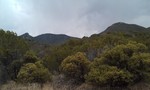 photo thumbnail #9