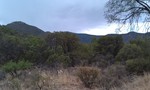 photo thumbnail #13
