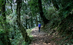 photo thumbnail #8