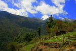 photo thumbnail #15