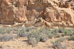 photo thumbnail #8