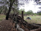 photo thumbnail #9