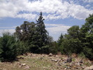photo thumbnail #13