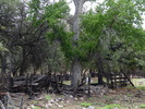 photo thumbnail #14