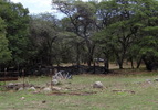 photo thumbnail #15