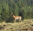 photo thumbnail #5