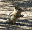 photo thumbnail #15