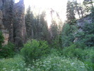 photo thumbnail #2