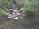 photo thumbnail #14